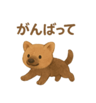 やぶいぬの まいにちスタンプ（個別スタンプ：14）