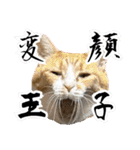 みそこぶ劇場：うちの猫（個別スタンプ：28）