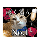 みそこぶ劇場：うちの猫（個別スタンプ：30）