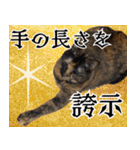みそこぶ劇場：うちの猫（個別スタンプ：33）