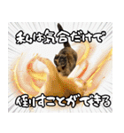 みそこぶ劇場：うちの猫（個別スタンプ：37）