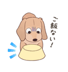 ダックス大好き！家族の連絡専用◆クリーム（個別スタンプ：5）