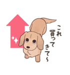 ダックス大好き！家族の連絡専用◆クリーム（個別スタンプ：7）