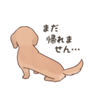 ダックス大好き！家族の連絡専用◆クリーム（個別スタンプ：27）