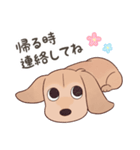 ダックス大好き！家族の連絡専用◆クリーム（個別スタンプ：28）