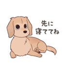 ダックス大好き！家族の連絡専用◆クリーム（個別スタンプ：37）