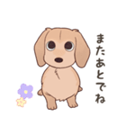 ダックス大好き！家族の連絡専用◆クリーム（個別スタンプ：39）