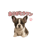 子犬verフレンチブルドッグ（個別スタンプ：6）