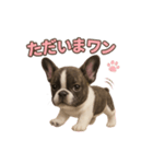 子犬verフレンチブルドッグ（個別スタンプ：8）