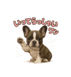 子犬verフレンチブルドッグ（個別スタンプ：21）