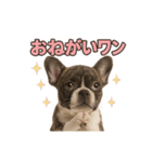 子犬verフレンチブルドッグ（個別スタンプ：37）