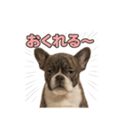 子犬verフレンチブルドッグ（個別スタンプ：38）
