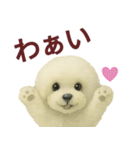 毎日使うかわいいトイプードルスタンプ（個別スタンプ：2）