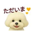 毎日使うかわいいトイプードルスタンプ（個別スタンプ：8）