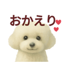 毎日使うかわいいトイプードルスタンプ（個別スタンプ：9）