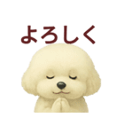 毎日使うかわいいトイプードルスタンプ（個別スタンプ：10）