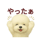 毎日使うかわいいトイプードルスタンプ（個別スタンプ：11）