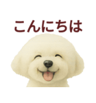 毎日使うかわいいトイプードルスタンプ（個別スタンプ：13）