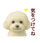 毎日使うかわいいトイプードルスタンプ（個別スタンプ：22）