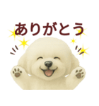 毎日使うかわいいトイプードルスタンプ（個別スタンプ：26）