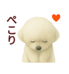 毎日使うかわいいトイプードルスタンプ（個別スタンプ：28）