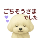 毎日使うかわいいトイプードルスタンプ（個別スタンプ：31）