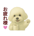 毎日使うかわいいトイプードルスタンプ（個別スタンプ：34）