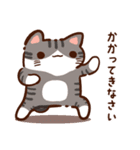 【ラフな敬語】ぷくネコたちのスタンプ3（個別スタンプ：11）