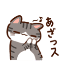 【ラフな敬語】ぷくネコたちのスタンプ3（個別スタンプ：21）