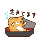 【ラフな敬語】ぷくネコたちのスタンプ3（個別スタンプ：25）
