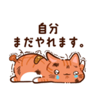 【ラフな敬語】ぷくネコたちのスタンプ3（個別スタンプ：28）