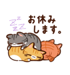 【ラフな敬語】ぷくネコたちのスタンプ3（個別スタンプ：40）