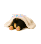 コテツくん3（個別スタンプ：9）