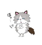 ラグドールもーちゃんのおもしろスタンプ1（個別スタンプ：2）