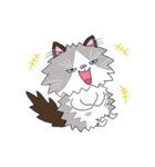 ラグドールもーちゃんのおもしろスタンプ1（個別スタンプ：4）