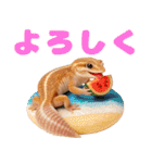 ニシアフ氏の日常（個別スタンプ：6）