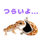 ニシアフ氏の日常（個別スタンプ：19）
