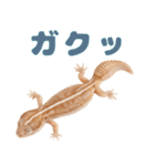 ニシアフ氏の日常（個別スタンプ：25）