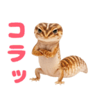 ニシアフ氏の日常（個別スタンプ：28）