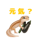 ニシアフ氏の日常（個別スタンプ：31）