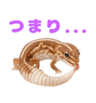 ニシアフ氏の日常（個別スタンプ：36）