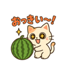 なつネコのほんわか日常スタンプ（個別スタンプ：17）
