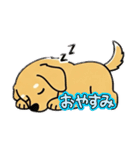 使いやすいワンちゃんスタンプ 戌年専用（個別スタンプ：2）