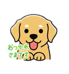使いやすいワンちゃんスタンプ 戌年専用（個別スタンプ：5）
