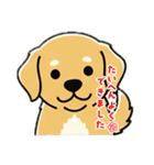 使いやすいワンちゃんスタンプ 戌年専用（個別スタンプ：6）