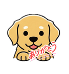 使いやすいワンちゃんスタンプ 戌年専用（個別スタンプ：8）