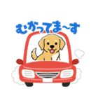 使いやすいワンちゃんスタンプ 戌年専用（個別スタンプ：9）