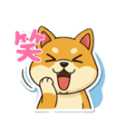 使いやすいワンちゃんスタンプ 戌年専用（個別スタンプ：14）