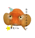 金魚のヒスイちゃん（個別スタンプ：11）