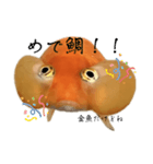 金魚のヒスイちゃん（個別スタンプ：18）